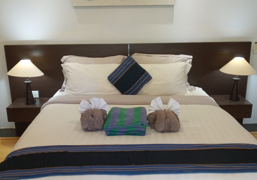 Interior view of deluxe