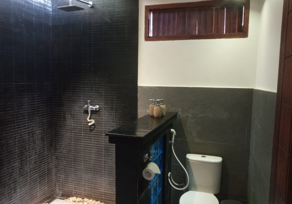 Interior view of deluxe